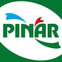 PINAR